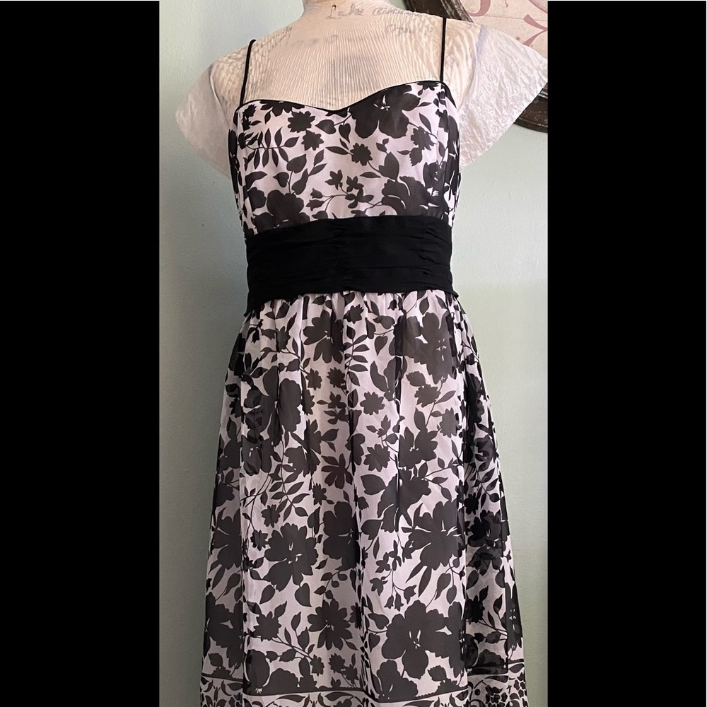 Beautiful Dress Barn Lined Black and White Frock